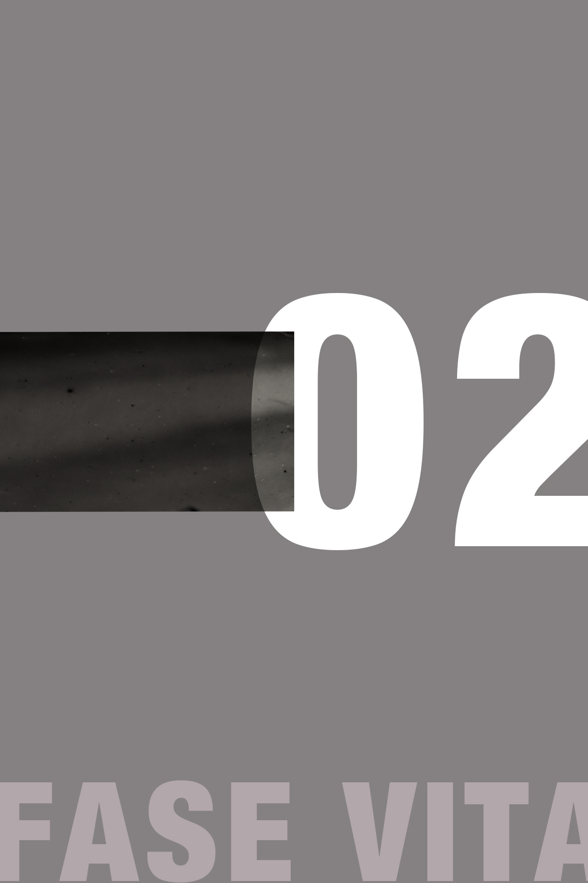 Cover fase della vita 02, l'adolescenza