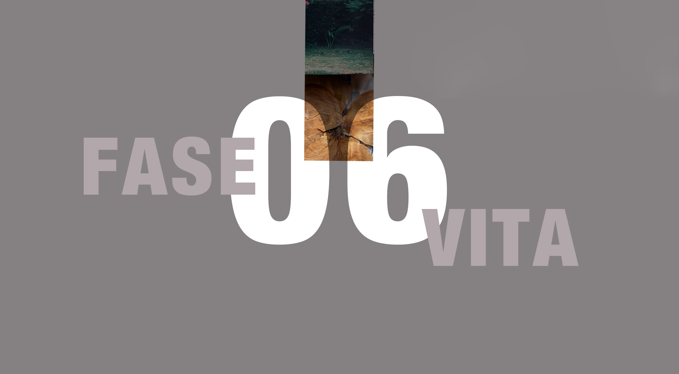 Cover fase della vita 06, l'anzianità