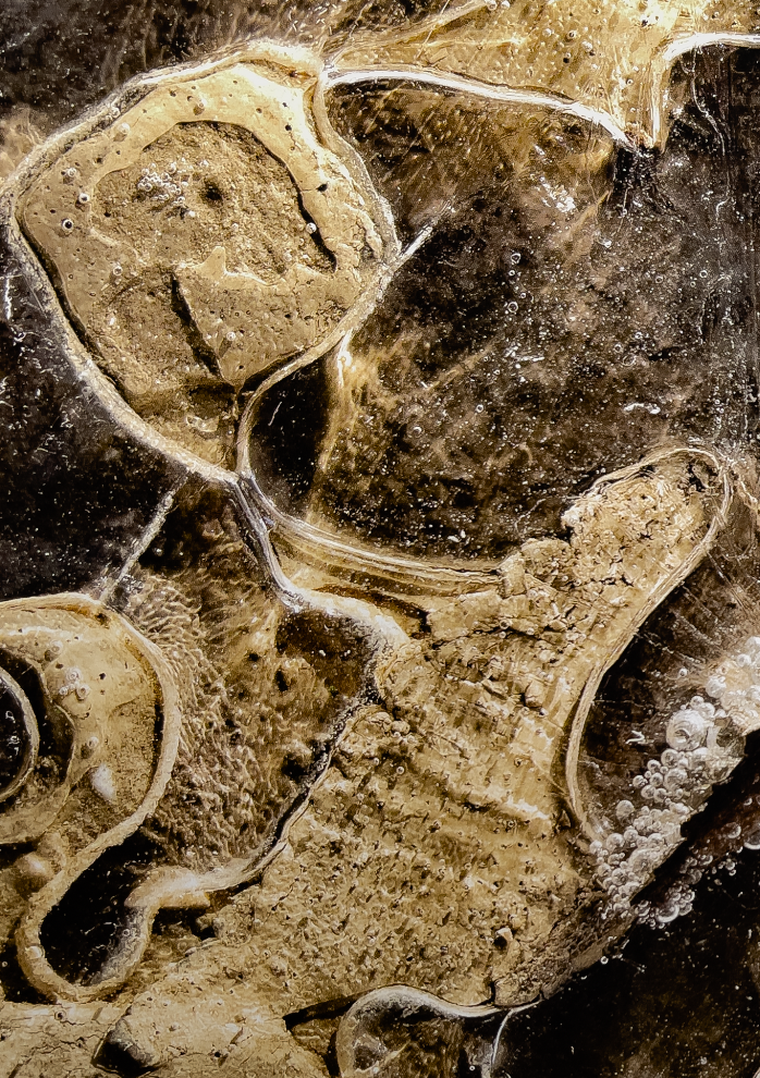 Cover Conferenze de Il cerchio di Kos