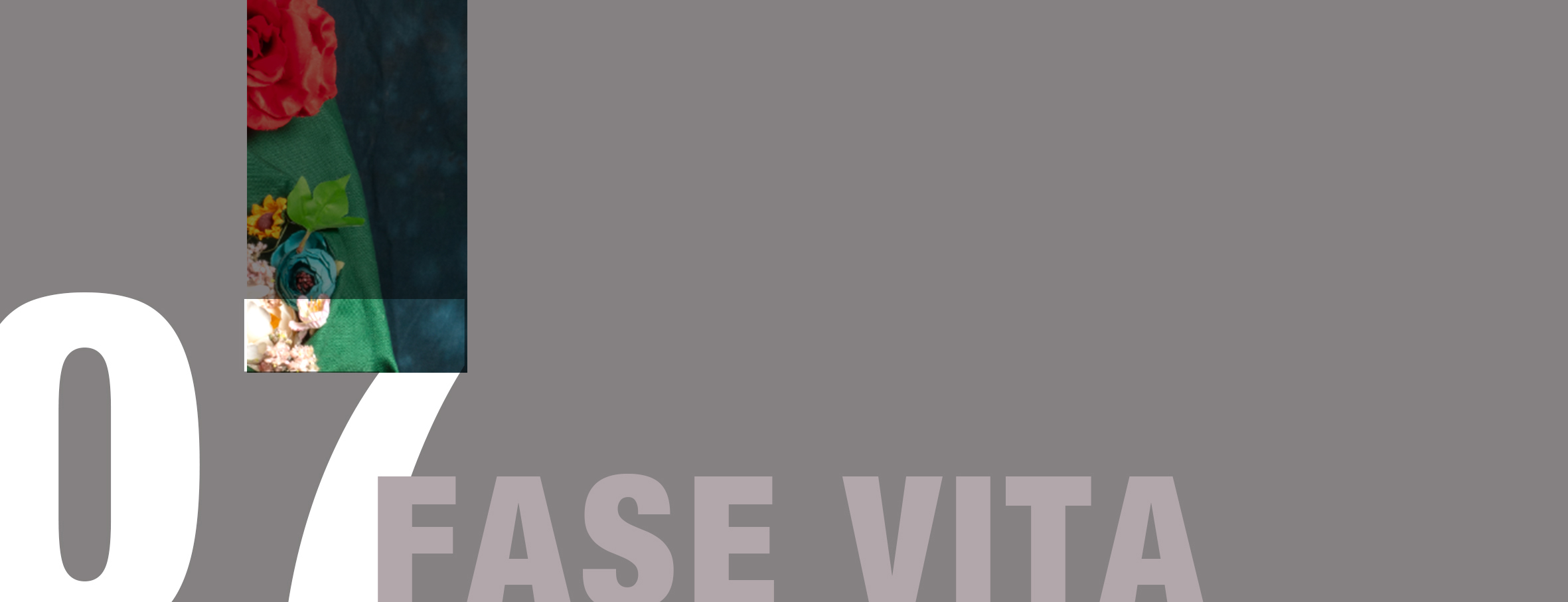 Cover fase della vita 07, il fine vita