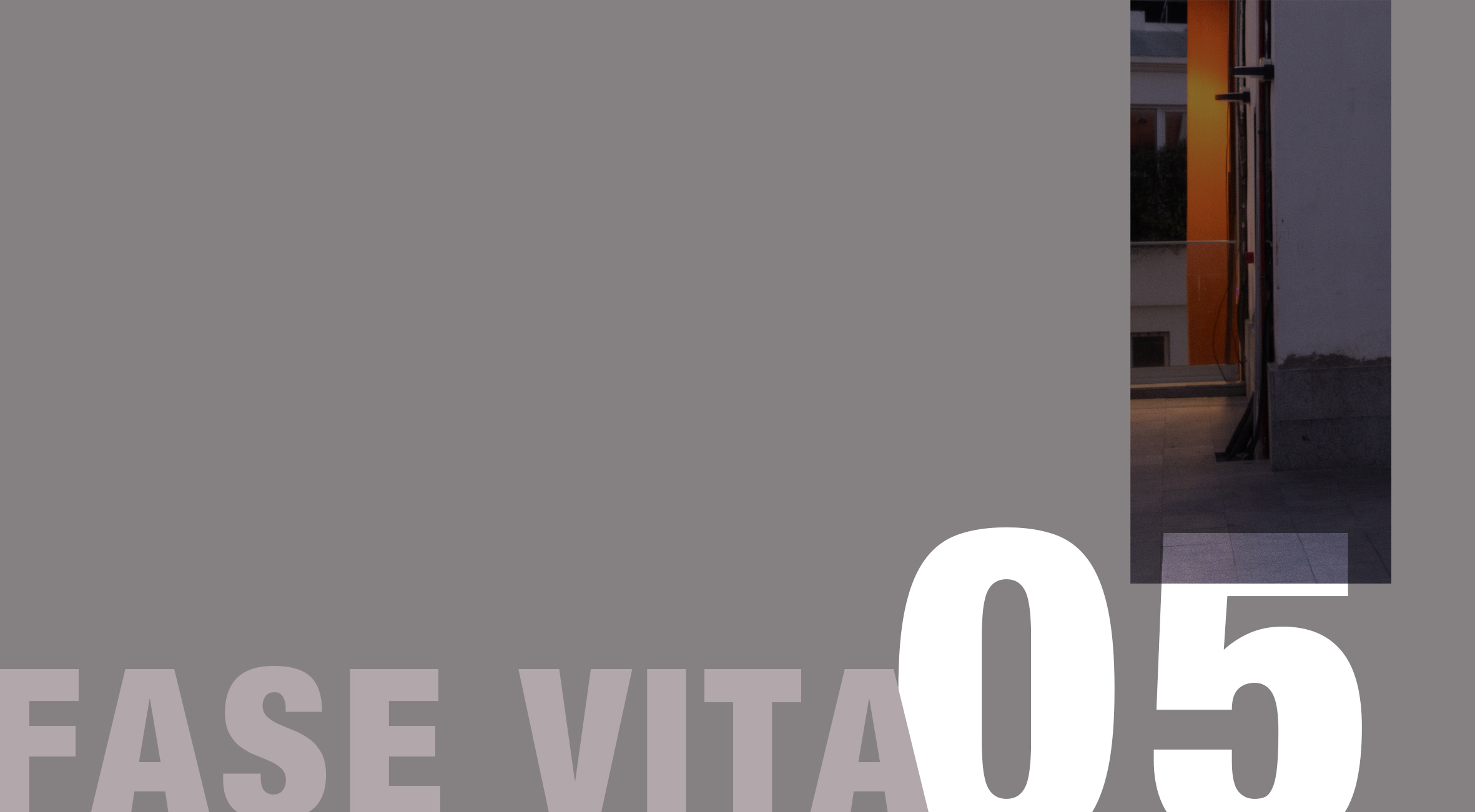 Cover fase della vita 05, la mezza età