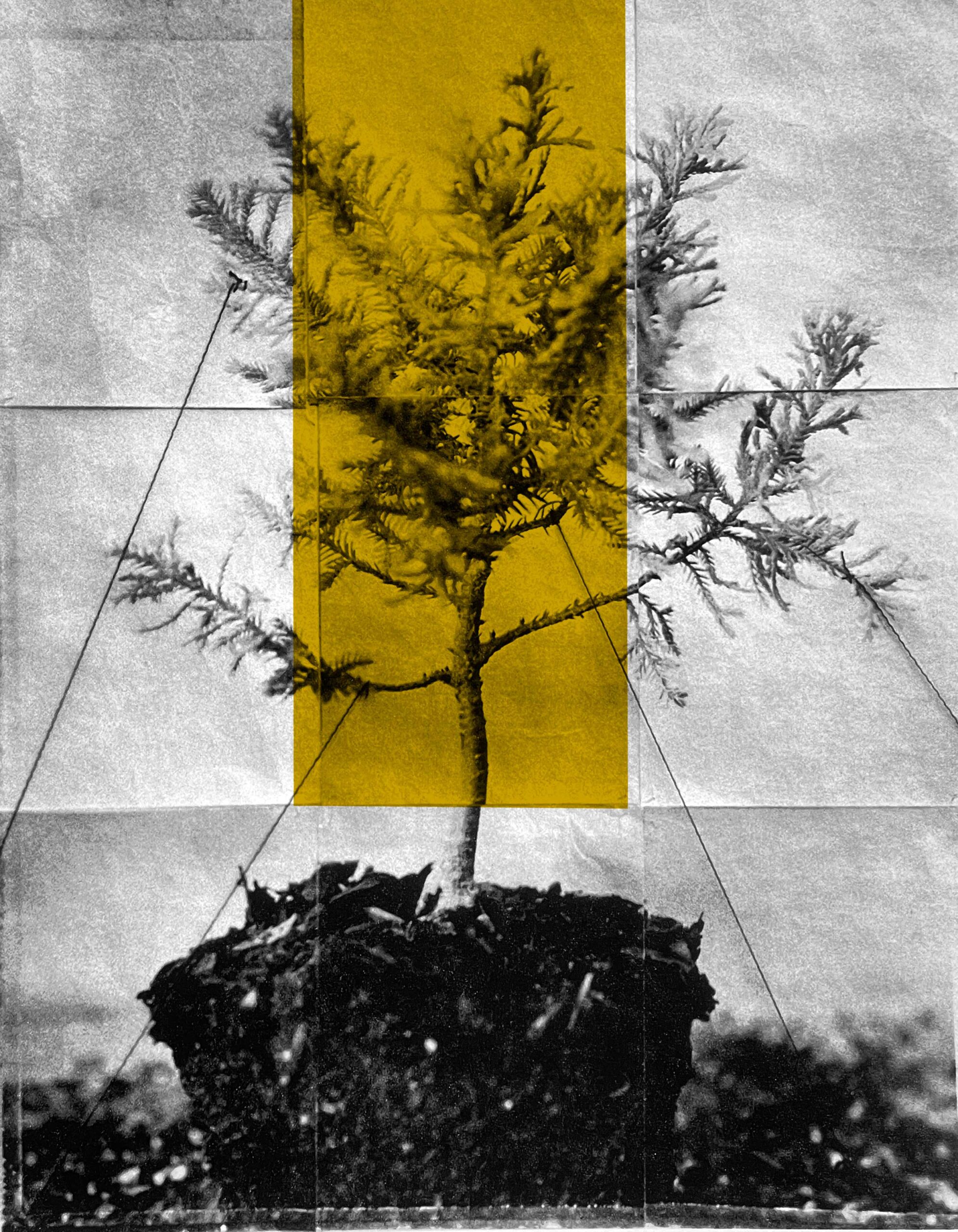 Cover il pensiero etico de Il Cerchio di Kos