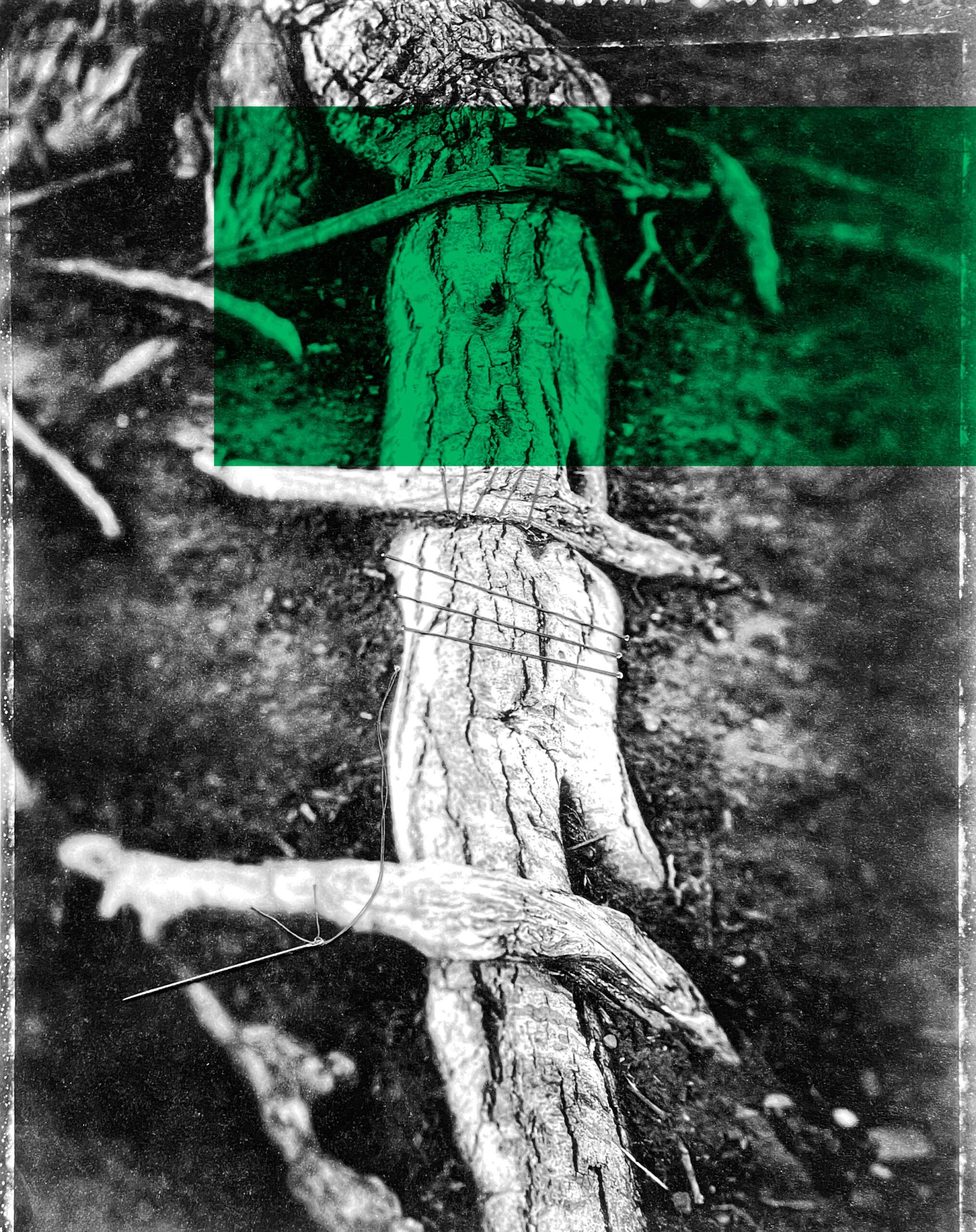 Cover visione sostenibile de Il Cerchio di Kos