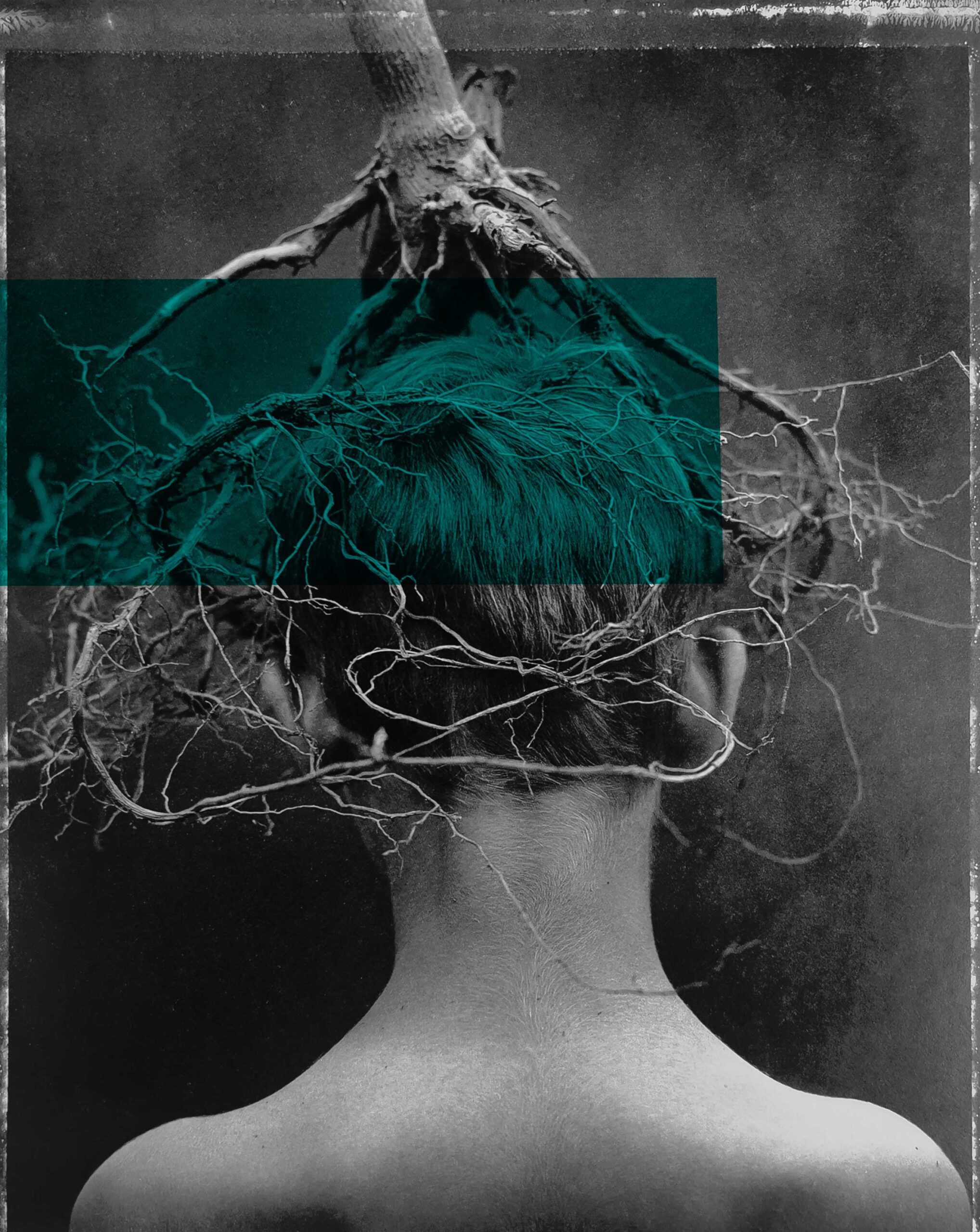 Cover volti di comunità de Il Cerchio di Kos